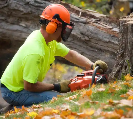 tree services Pine Ridge at Crestwood